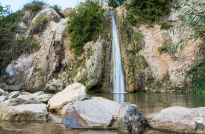 Screen Shot 2020 03 09 at 14.18.50