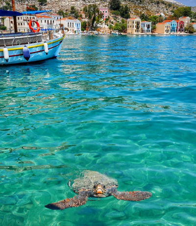 Screen Shot 2020 03 09 at 17.33.00