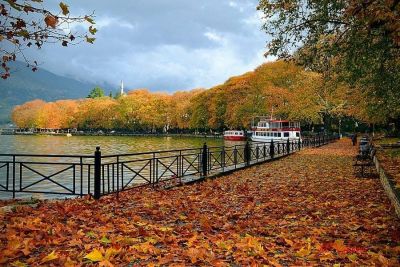 10330331 354110441424863 191625979490945692 n