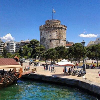 1174663 337266639775910 5368281050602834579 n