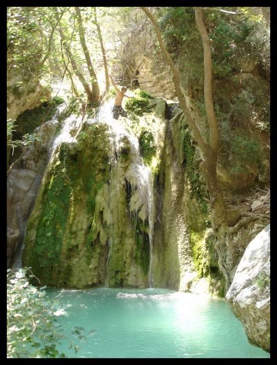 5051665681 fe863a802d o