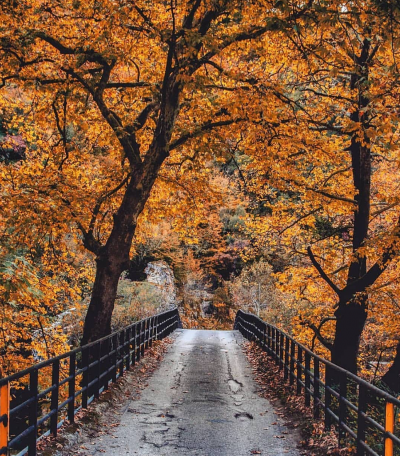 Screen Shot 2020 03 09 at 17.30.21