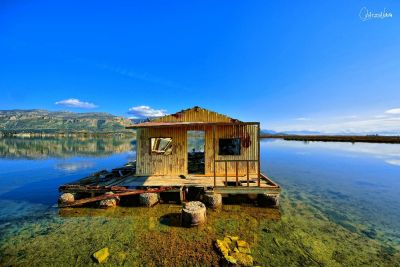             ...                                    1856