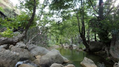  cid 5EC4F412 CF6D 40B8 B633 F9E7951F0795 colubris